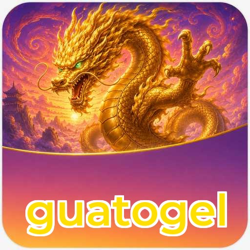 Update Statistics guatogel